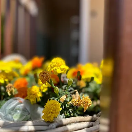 Dimora Don Antonio Bed & Breakfast Pontecagnano